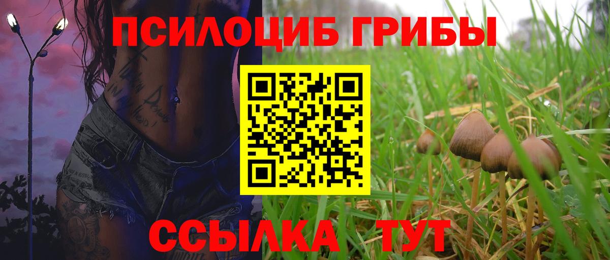 Галлюциногенные грибы Cubensis  Вход с VPN  Чебаркуль  Галлюциногенные грибы GOLDEN TEACHER 
